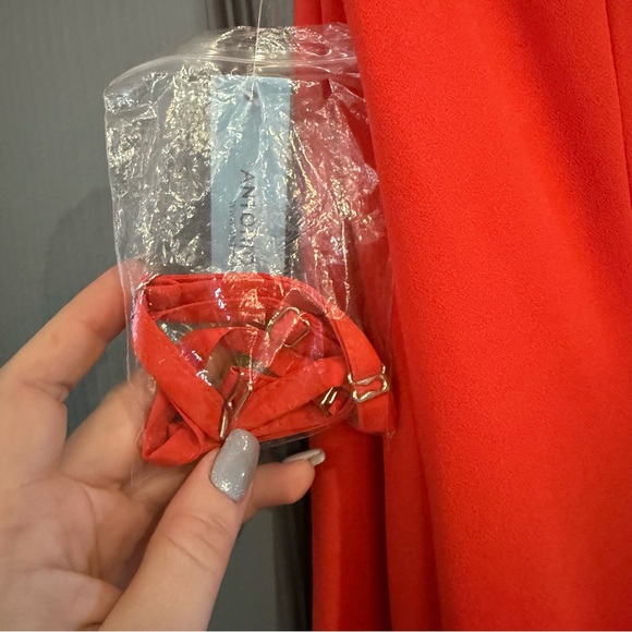 ANTONIO MELANI Vibrant Red Mini Dress - Picture 6 of 7